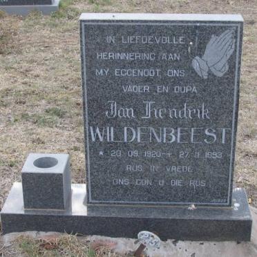 WILDENBEEST Jan Hendrik 1920-1993