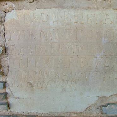 COETZEE Hester Elizabetha Maria 1900-1901