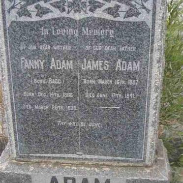 ADAM James 1857-1941 &amp; Fanny BAGG 1866-1938