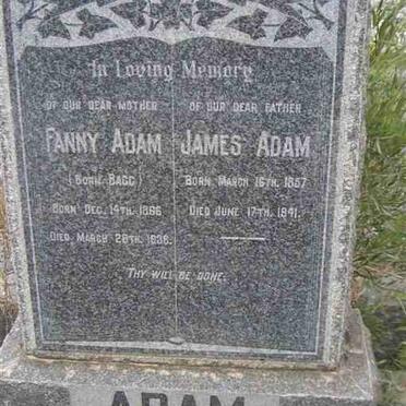 ADAM James 1857-1941 &amp; Fanny BAGG 1866-1938