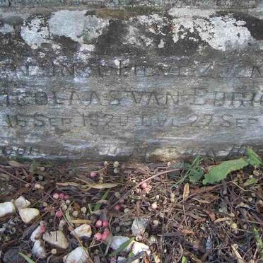 BURICK Nicolaas, van 1920-1920