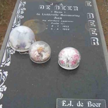 BEER J.A., de 1923-1999