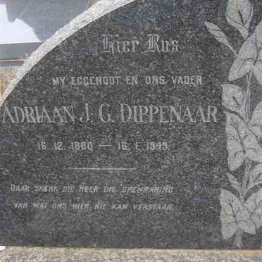 DIPPENAAR Adriaan J.G. 1880-1949 &amp; Lea Jacoba 1884-1977