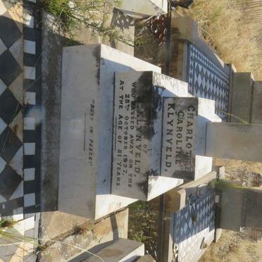 PELLISSIER : KLYNVELD