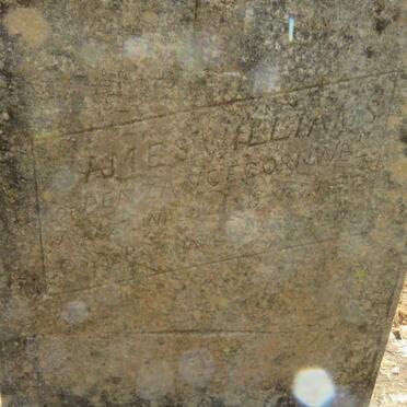 WILLIAMS James -1897