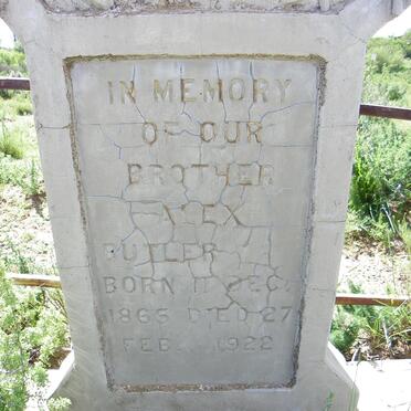 BUTLER Alex 1865-1922