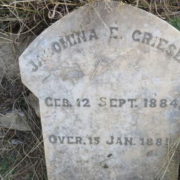 GRIESEL Jacomina E. 1884-1885