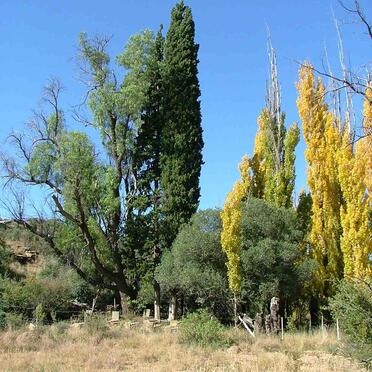 1. Bethulie Brakfontein