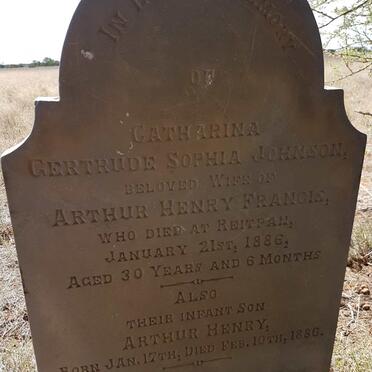 Free State, BOSHOF district, Kimberley, Kareeboom 76, Rietpan, farm cemetery