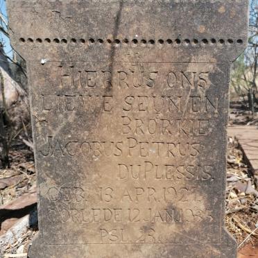 Free State, BOSHOF district, Dealesville, Idiaal 1349, Single grave