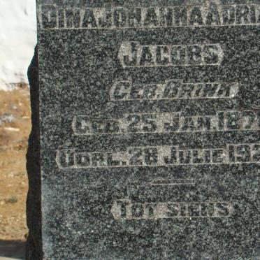 JACOBS Dina Johanna Adriana nee BRINK 1878-1928  
