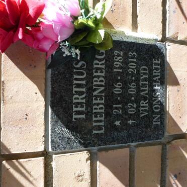 LIEBENBERG Tertius 1982-2013