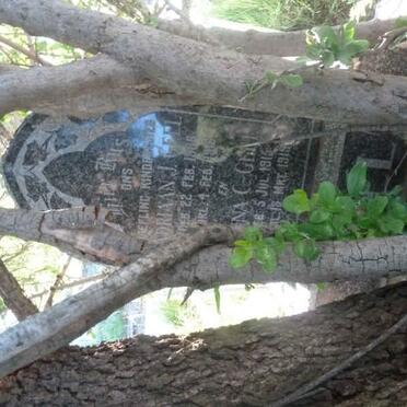 GEEL Adriaan J. 1906-1916 :: GEEL Anna C. 1915-1919