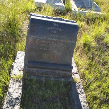 GROENEWALD Christoffel Johannes 1885-1918