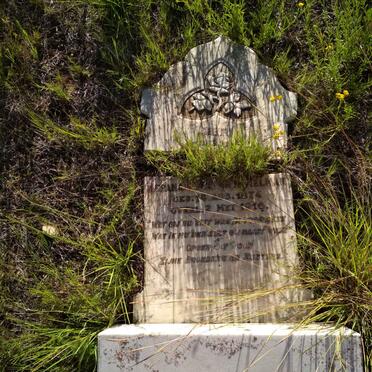 I - Surnames :: Vanne - I