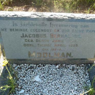 MOOLMAN Jacobus Bernardus 1884-1955