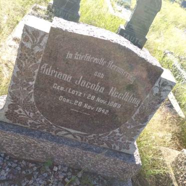 NEETHLING Adriana Jacoba nee LOTZ 1889-1942
