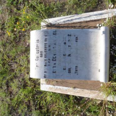 NEL Aletta Gertruida nee JOUBERT 1883-1932