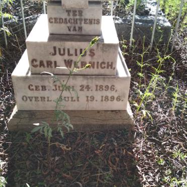 WERNICH Julius Carl 1896-1896