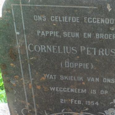 CLASE Cornelius Petrus -1954