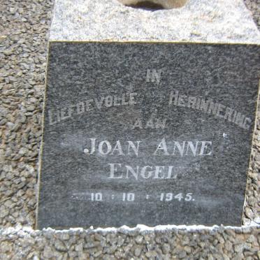 FISCHER Hendricus Johannes 1872-1953 &amp; Johanna Francina VILJOEN 1869-1951 :: ENGEL Joan Anne -1945