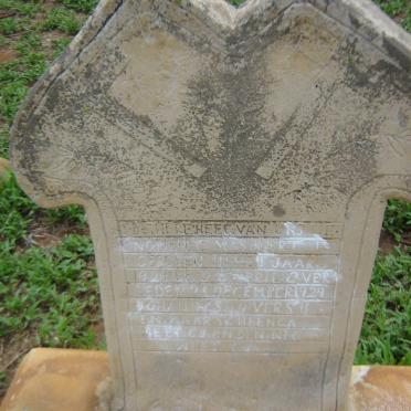 SWART C. M. 1929-1929