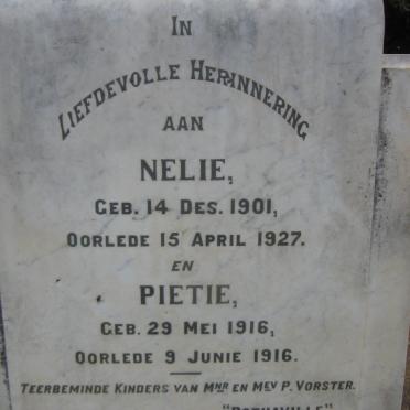 VORSTER Nelie 1901-1927 :: VORSTER Pietie 1916-1916