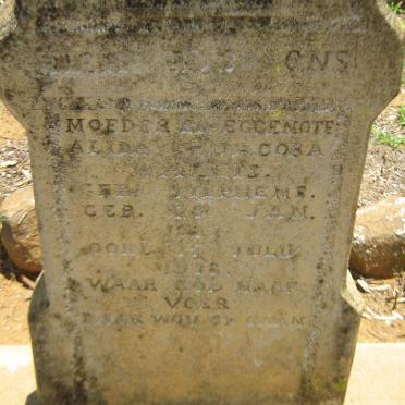 WALLIS Alida Jacoba nee STEPHENS 1892-1936