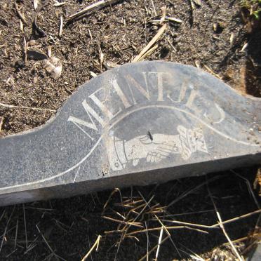 MEINTJES Schalk 1906-1962 &amp; Maria V. NIEKERK 1911-