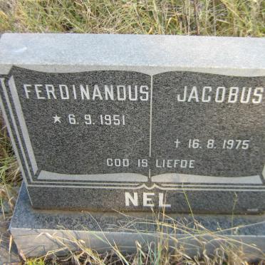 NEL Ferdinandus Jacobus 1951-1975