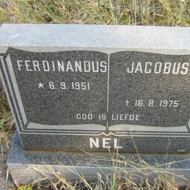 NEL Ferdinandus Jacobus 1951-1975