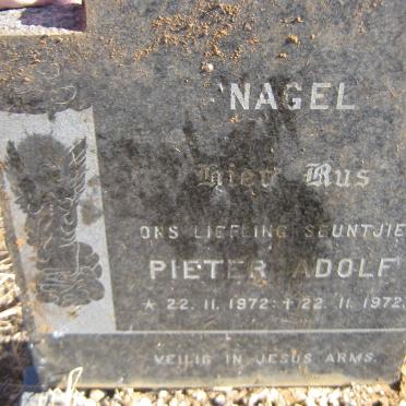 NAGEL Pieter Adolf 1972-1972