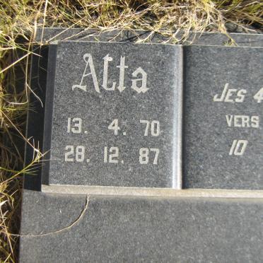 PITOUT Alta 1970-1987