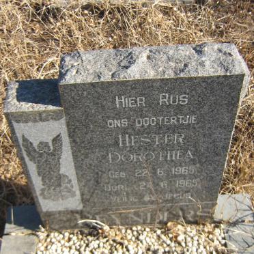 REYNDERS Hester Dorothea 1965-1965