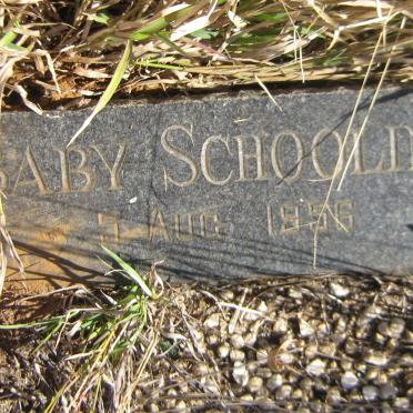 SCHOOLING 1956-1956