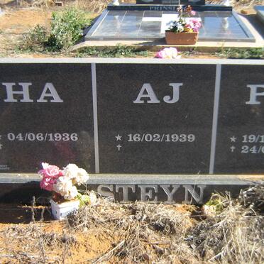 STEYN H.A. 1936- :: STEYN A.J. 1939- :: STEYN P.J.C. 1964-2008