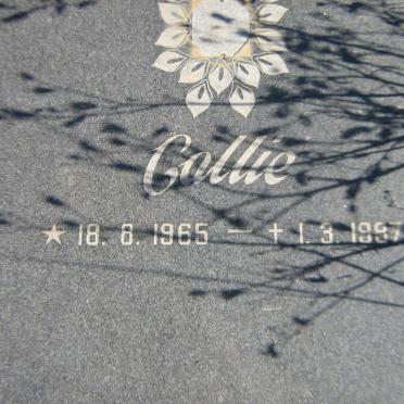 ? Callie 1965-1997