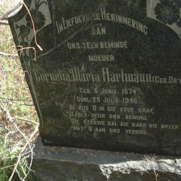 HARTMANN Cornelia Maria nee DRY 1874-1946