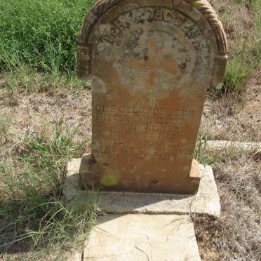 NIEKERK Pieter Cornelius, van 1917-1926