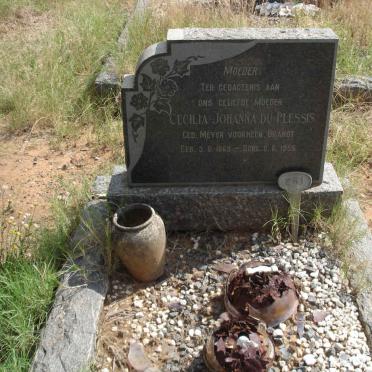 PLESSIS Cecilia Johanna, du formerly BRANDT, nee MEYER 1869-1955