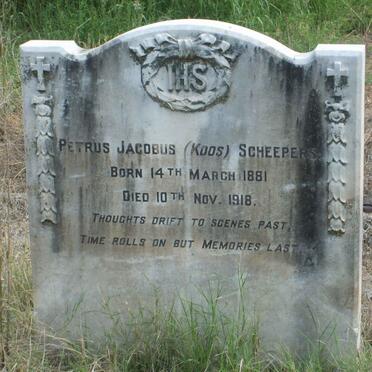 SCHEEPERS Petrus Jacobus 1881-1918