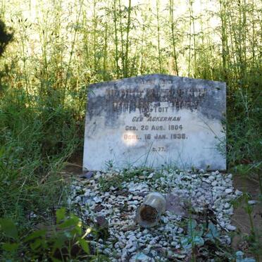 TOIT, du ? nee ACKERMAN 1904-1938