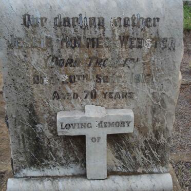 WEBSTER Jessie Holmes nee TROLLIP -1916