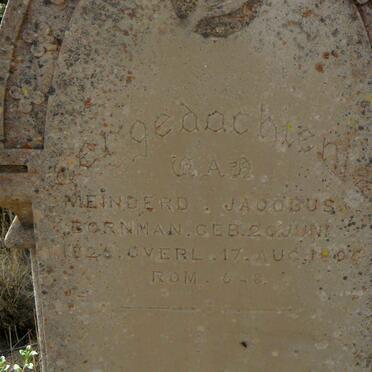 BORNMAN Meinderd Jacobus 1825-1896