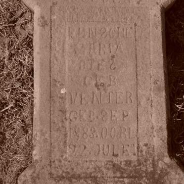 BOTES Rensche Maria nee VENTER 1883-1922