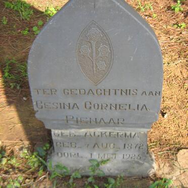 PIENAAR Gesina Cornelia nee ACKERMAN 1872-1925