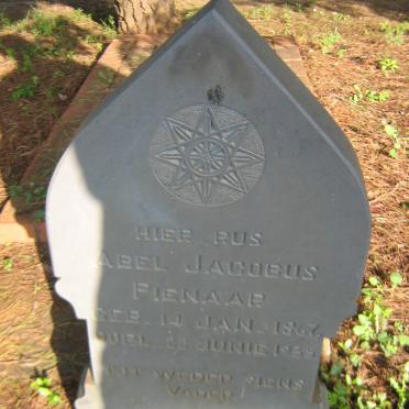 PIENAAR Abel Jacobus 1867-1935