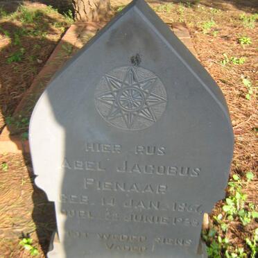 PIENAAR Abel Jacobus 1867-1935