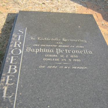 STROEBEL Daphina Petronella 1899-1990