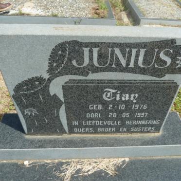 JUNIUS Tian 1976-1997